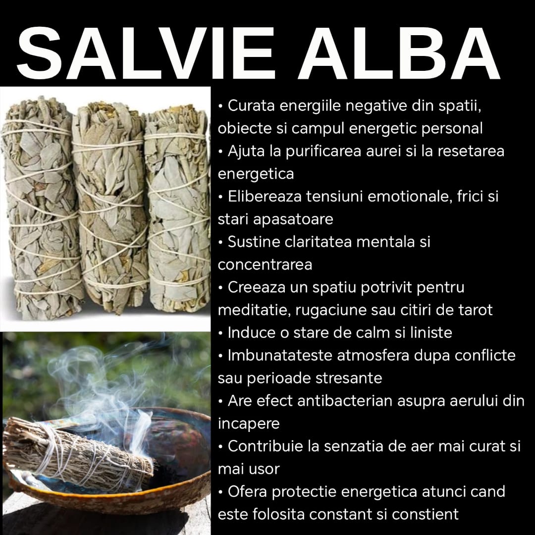 Salvie alba naturala pentru curatare energetica, purificare spirituala si protectie | Giovani Tarot